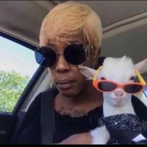 Meet your Posher, Abigail